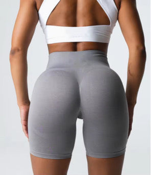 Silver Mist Seamless Shorts | Spring Chick
